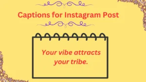 Read more about the article Captions for Instagram Post: Find the Perfect Words to Match Your Vibe! in 2025