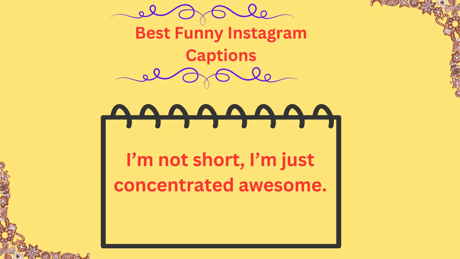 Read more about the article 650+ Best Funny Instagram Captions to Make Your Followers LOL in 2025