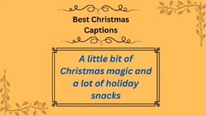 Read more about the article 170+ Best Christmas Captions to Spread Holiday Cheer in 2025