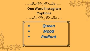 Read more about the article 170+ Best One-Word Instagram Captions for Every Mood in 2025 🌟